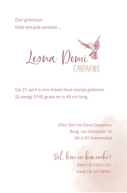 Geboortekaart Leona - Flamingo en vogel