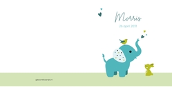 Geboortekaart jongen blauwe olifant