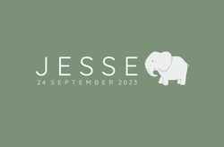 Geboortekaartje Jesse - Safari - Olifantje op groen