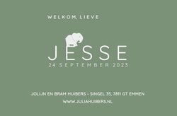Geboortekaartje Jesse - Safari - Olifantje op groen