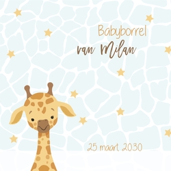 Babyborrel jongen giraf