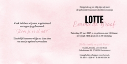 Geboortekaart grote broers bij wieg roze