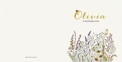 Wilde bloemen en insecten