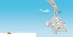 Pepijn - Olifanten pret