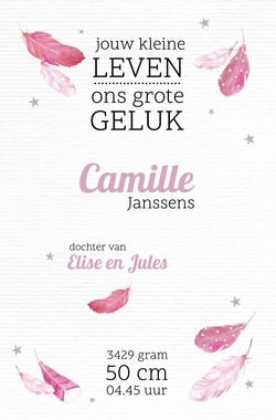 Camille - Roze veertjes 