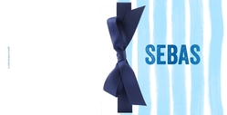 Geboortekaartje Sebas blauw 