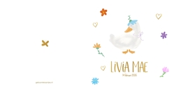 Vrolijke geboortekaart Livia Mae