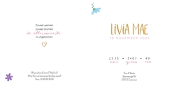 Vrolijke geboortekaart Livia Mae