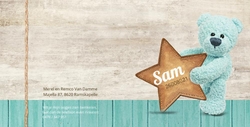 Sam Peter - Turquoise beertje met ster