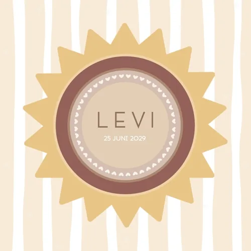 Geboortekaartje Levi met een okergeel zonnetje